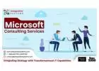 Professional Microsoft Consulting Services 