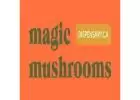 Magic Mushrooms Dispensary