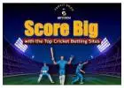 Choose The Top Cricket Session ID Provider Sites For Betting