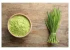 Buy Organic Wheatgrass Powder at Best Price in India | Asmita Organic Farm