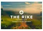 Explore Herbal Tea, plant seeds, hand Crafted Goods at The Rike 